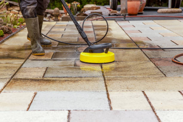 Animal Enclosure Cleaning